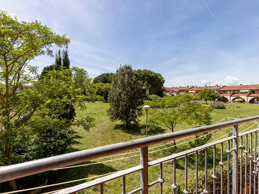 Immagine 31 di Villetta a schiera in vendita  a Terricciola