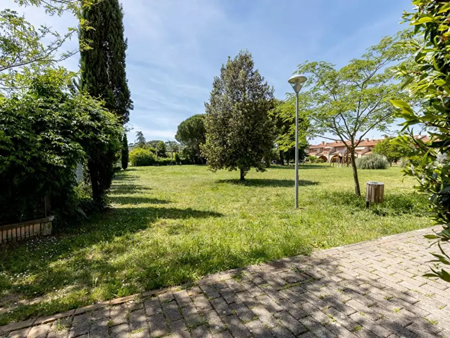 Immagine 29 di Villetta a schiera in vendita  a Terricciola