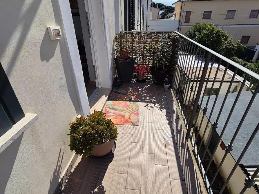 Immagine 9 di Appartamento in vendita  a Campiglia Marittima