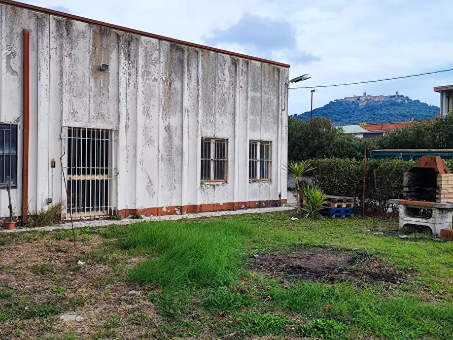 Immagine 47 di Casa semindipendente in vendita  a Grosseto