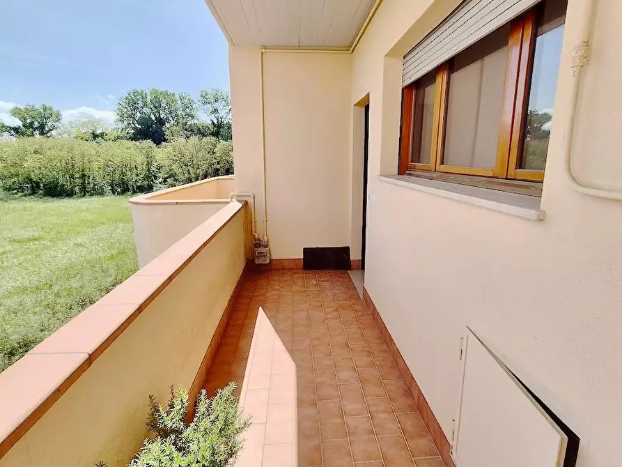 Immagine 2 di Appartamento in vendita  a Pisa