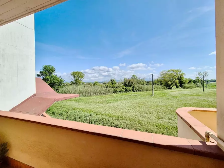 Immagine 8 di Appartamento in vendita  a Pisa