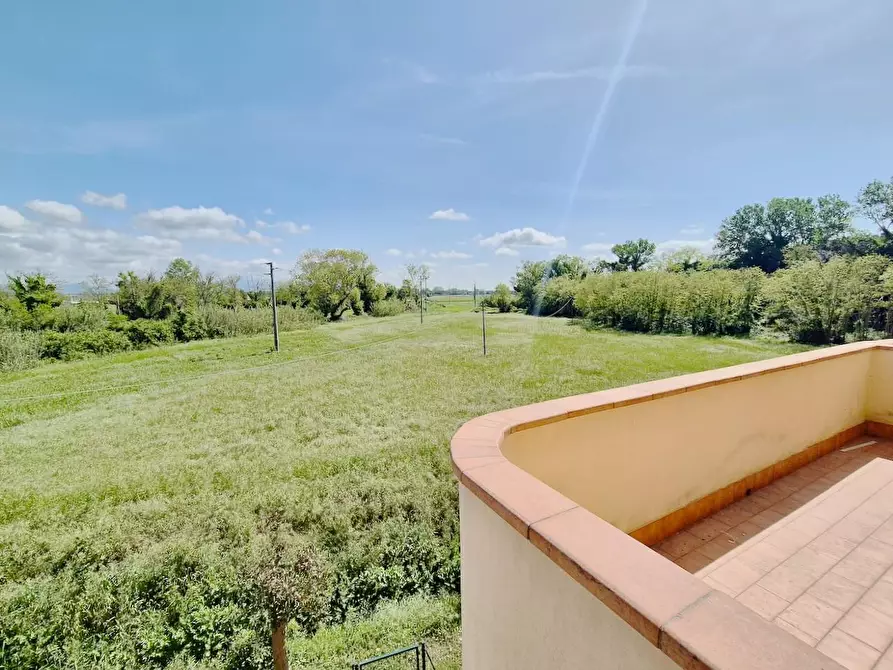 Immagine 9 di Appartamento in vendita  a Pisa