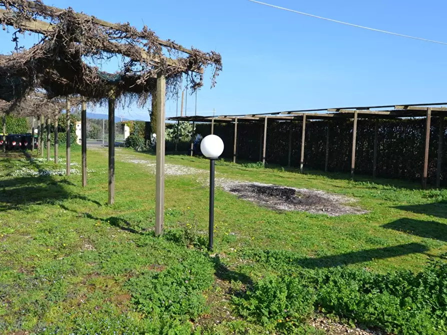Immagine 17 di Appartamento in vendita  a Campiglia Marittima