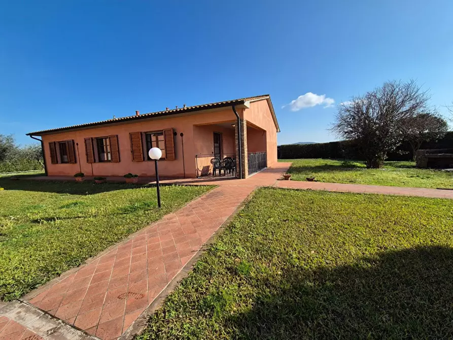 Immagine 4 di Appartamento in vendita  a Campiglia Marittima