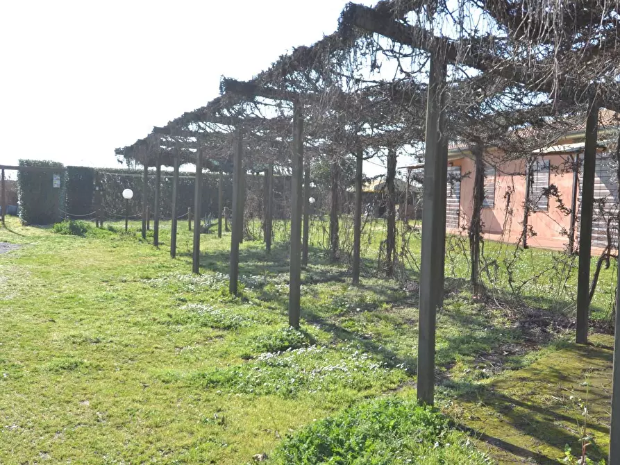 Immagine 13 di Appartamento in vendita  a Campiglia Marittima