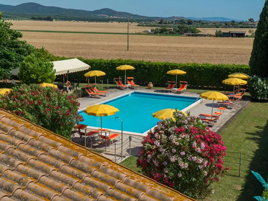 Immagine 9 di Appartamento in vendita  a Campiglia Marittima