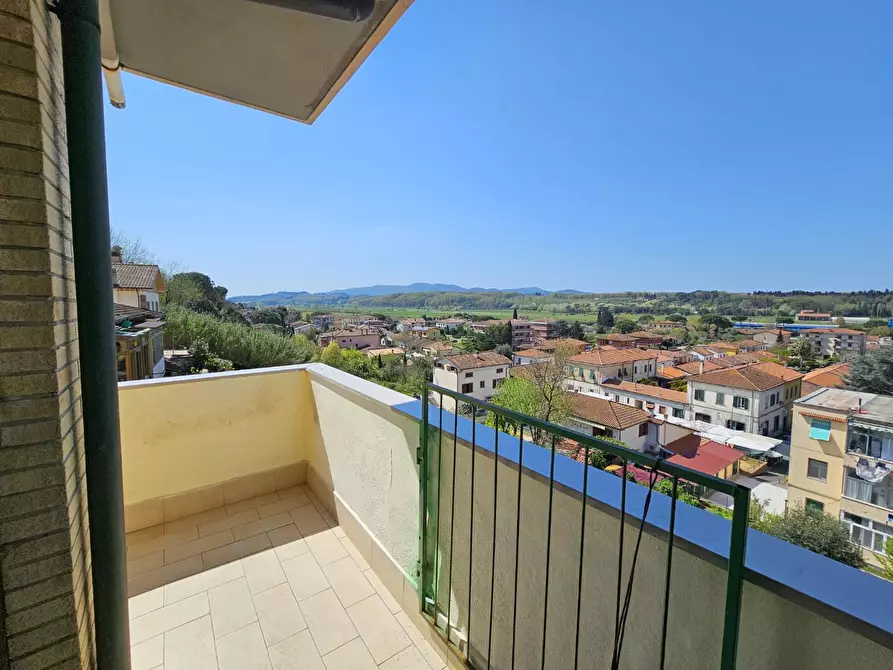 Immagine 24 di Appartamento in vendita  a Collesalvetti