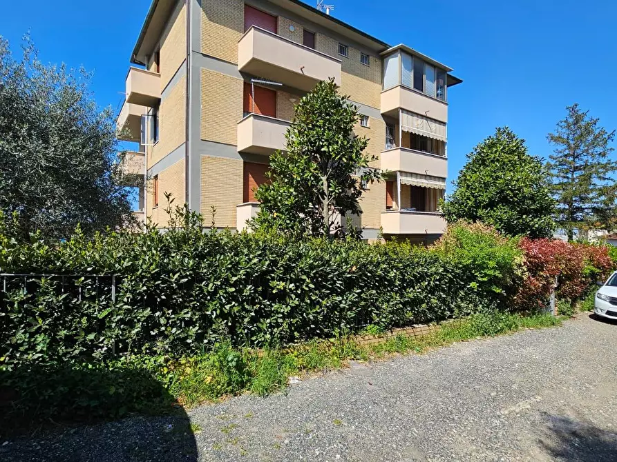 Immagine 25 di Appartamento in vendita  a Collesalvetti