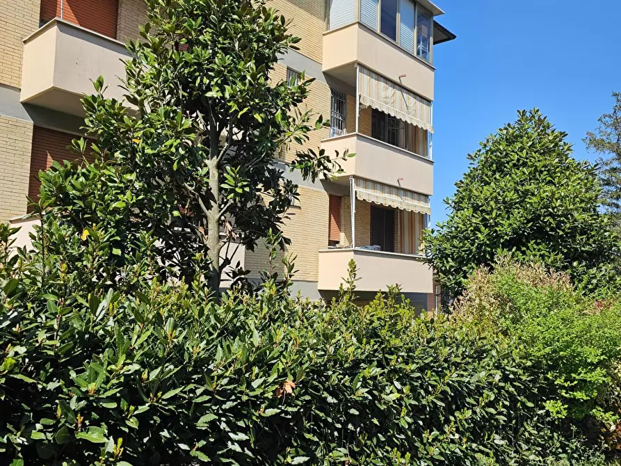 Immagine 27 di Appartamento in vendita  a Collesalvetti