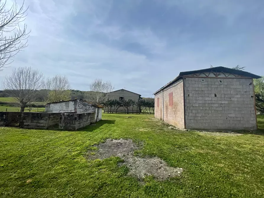 Immagine 3 di Casa indipendente in vendita  a Colle Di Val D'elsa