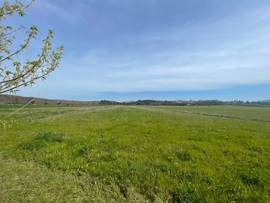 Immagine 4 di Casa indipendente in vendita  a Colle Di Val D'elsa