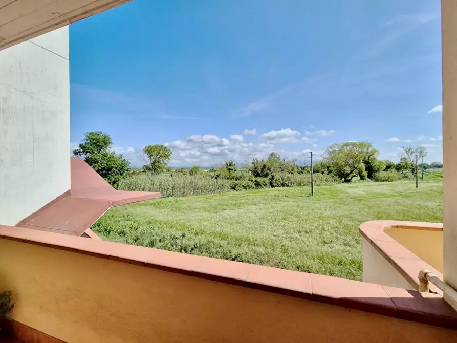 Immagine 7 di Appartamento in vendita  a Pisa