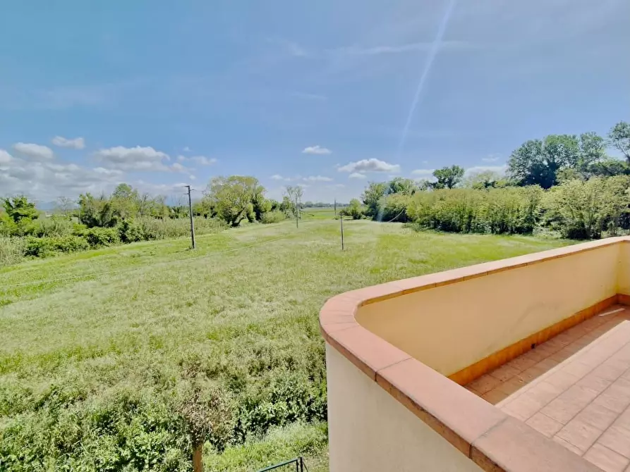 Immagine 8 di Appartamento in vendita  a Pisa