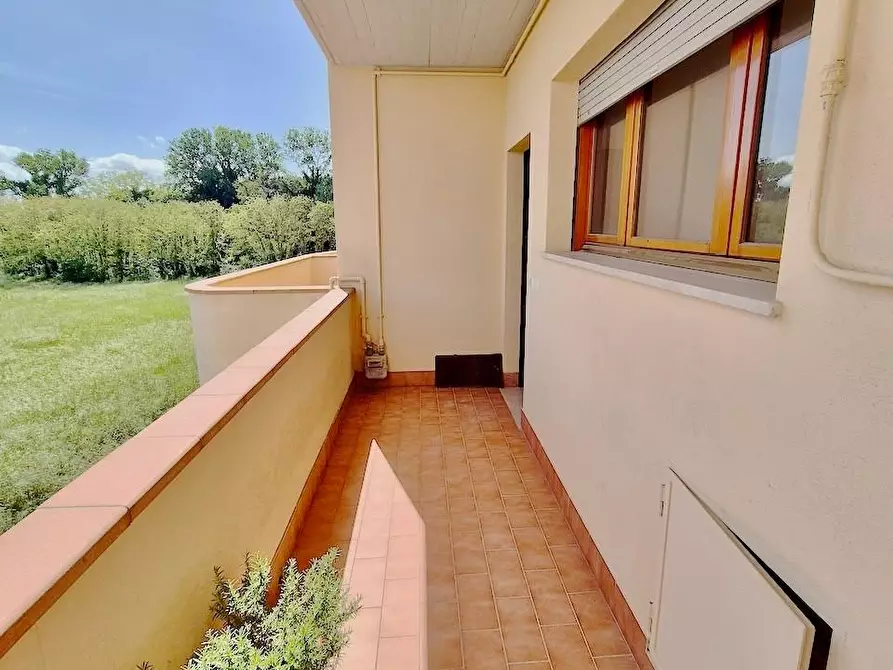 Immagine 6 di Appartamento in vendita  a Pisa