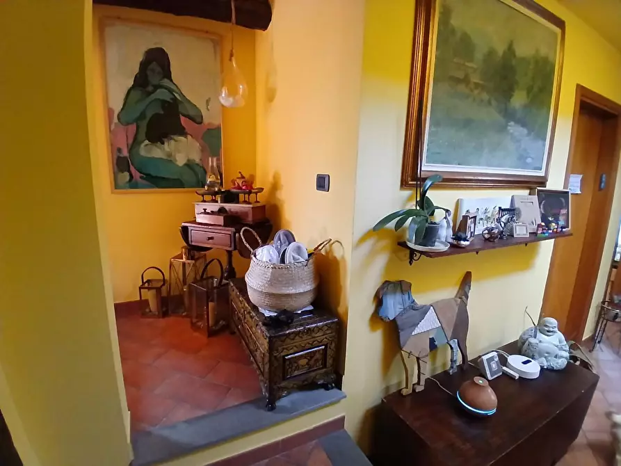 Immagine 26 di Appartamento in vendita  a Livorno