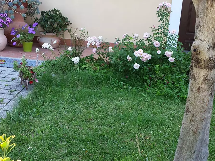 Immagine 39 di Appartamento in vendita  a Ponsacco