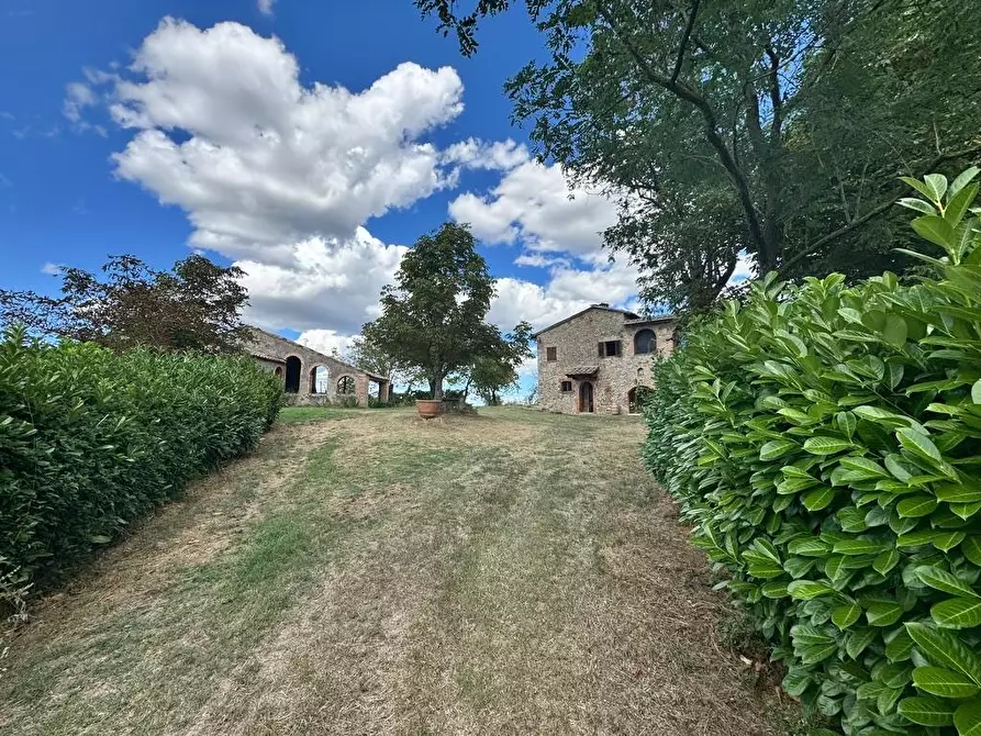 Immagine 10 di Rustico / casale in vendita  a Casole D'elsa