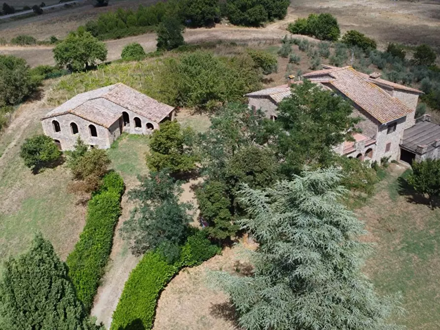 Immagine 25 di Rustico / casale in vendita  a Casole D'elsa