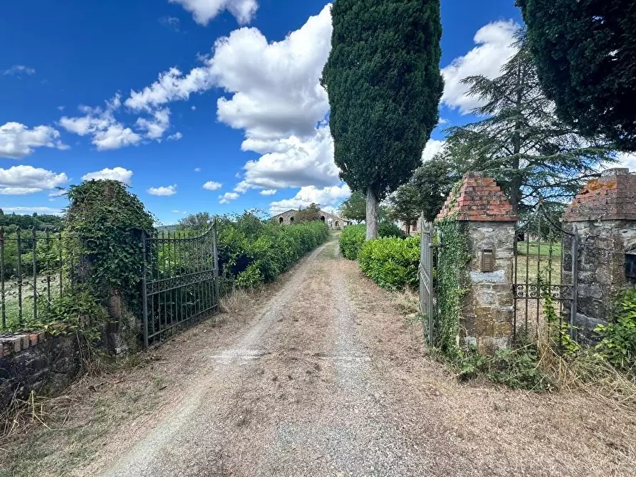 Immagine 68 di Rustico / casale in vendita  a Casole D'elsa