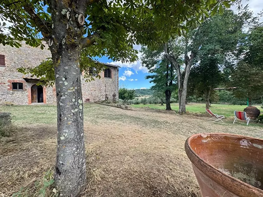 Immagine 17 di Rustico / casale in vendita  a Casole D'elsa
