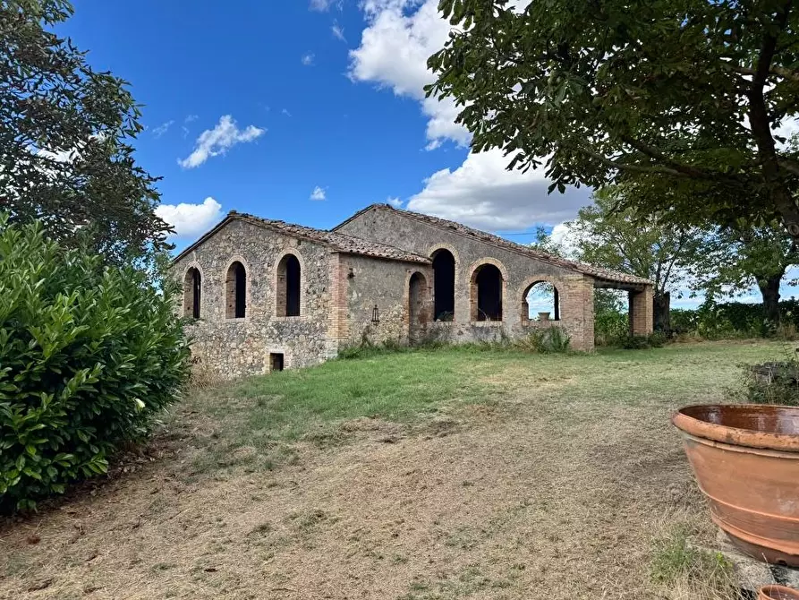 Immagine 13 di Rustico / casale in vendita  a Casole D'elsa