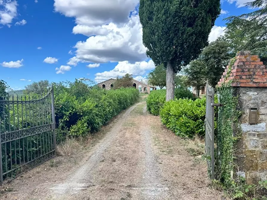 Immagine 71 di Rustico / casale in vendita  a Casole D'elsa