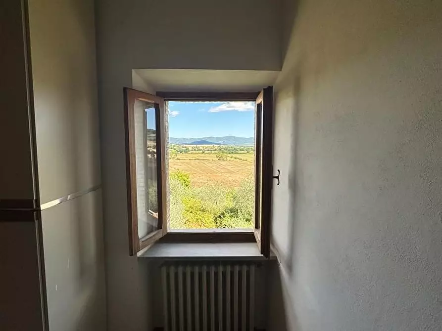 Immagine 36 di Rustico / casale in vendita  a Casole D'elsa