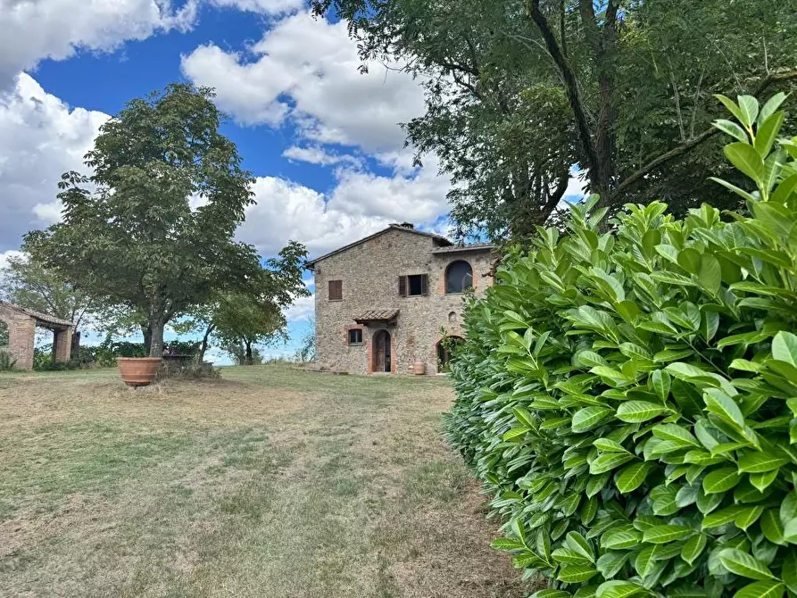 Immagine 16 di Rustico / casale in vendita  a Casole D'elsa