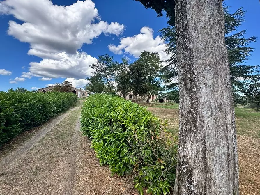 Immagine 70 di Rustico / casale in vendita  a Casole D'elsa