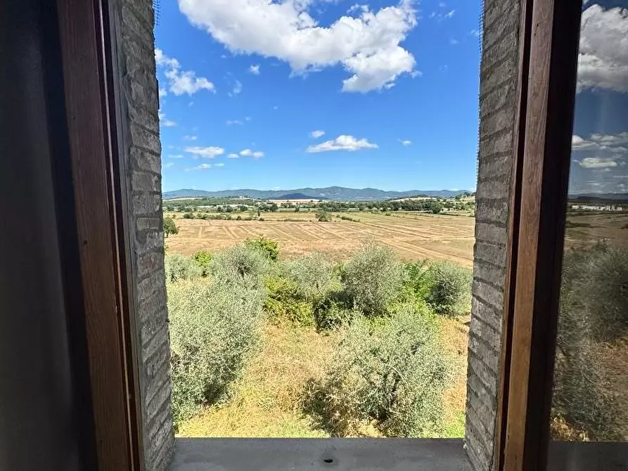 Immagine 28 di Rustico / casale in vendita  a Casole D'elsa