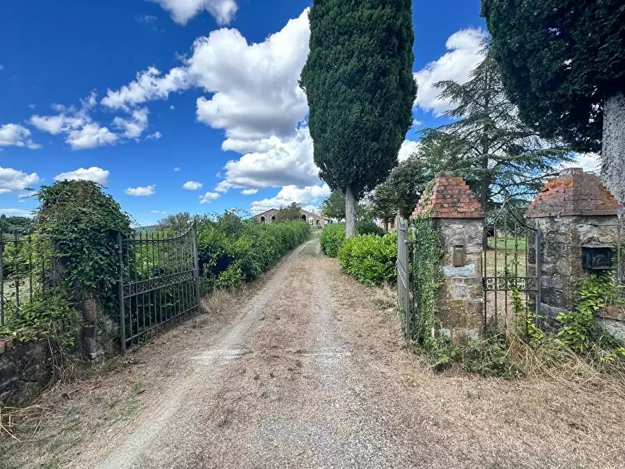 Immagine 73 di Rustico / casale in vendita  a Casole D'elsa