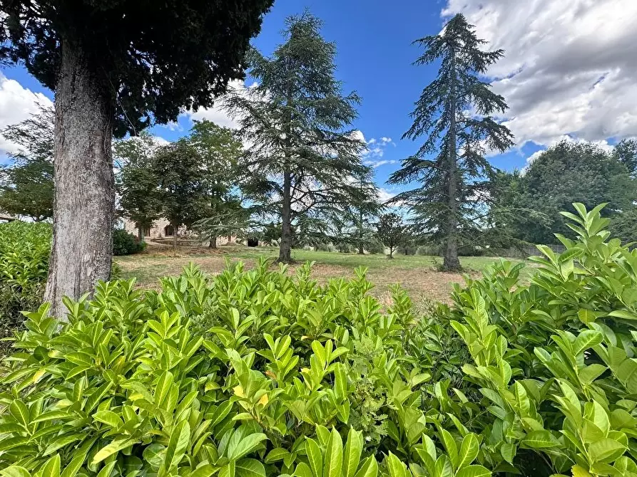 Immagine 66 di Rustico / casale in vendita  a Casole D'elsa