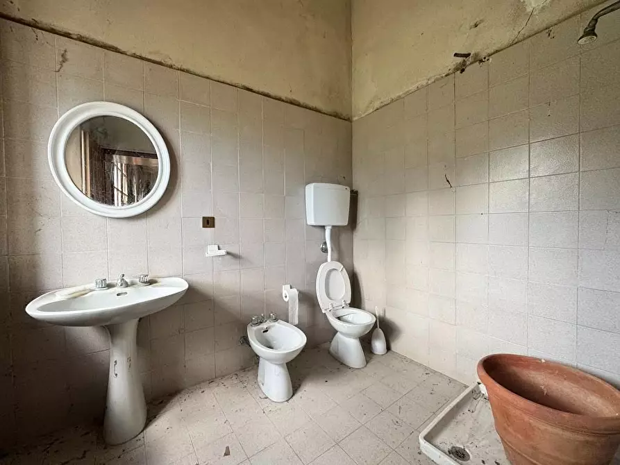 Immagine 59 di Rustico / casale in vendita  a Casole D'elsa