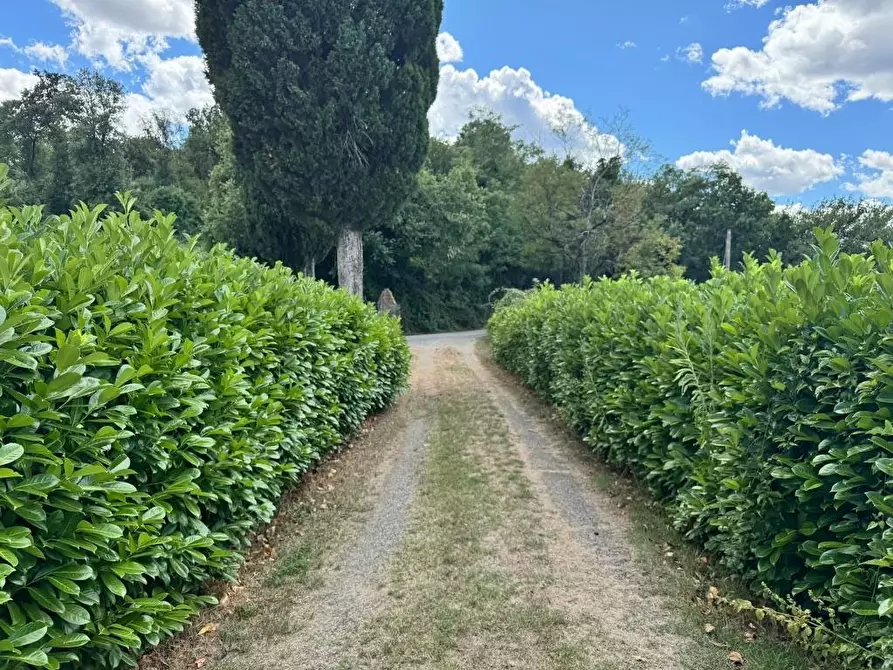 Immagine 72 di Rustico / casale in vendita  a Casole D'elsa