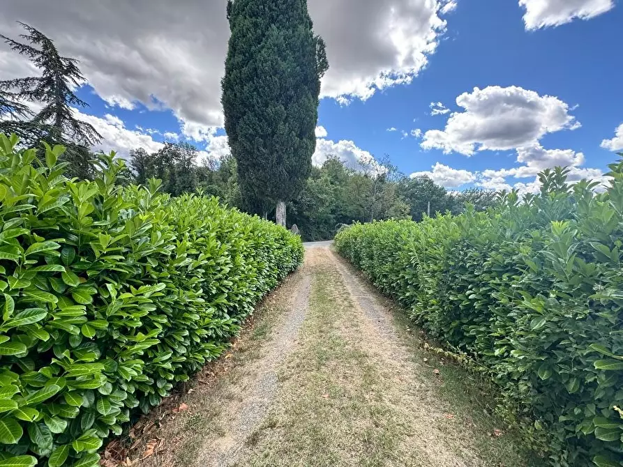 Immagine 65 di Rustico / casale in vendita  a Casole D'elsa