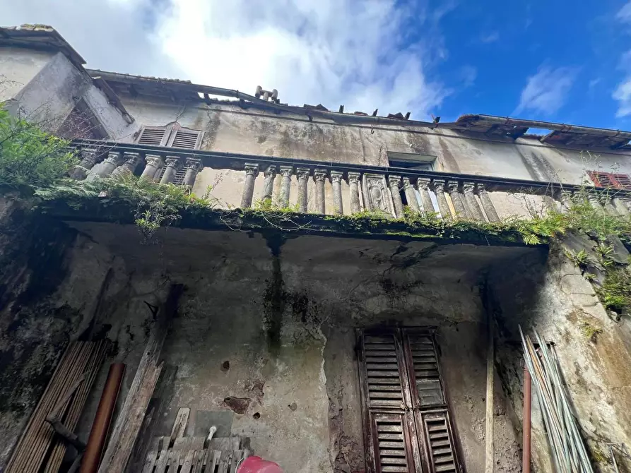 Immagine 4 di Terratetto in vendita  a Massa