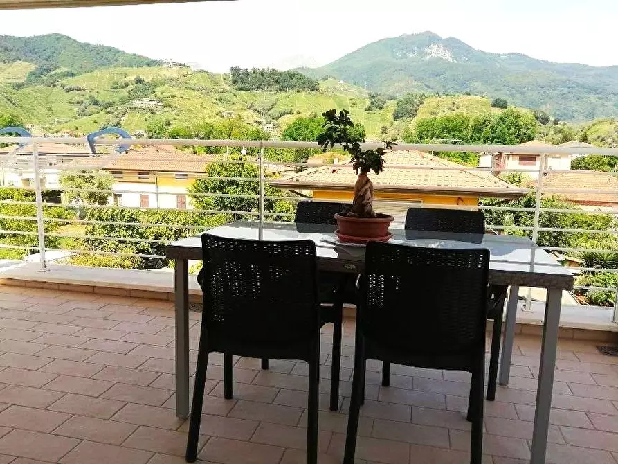 Immagine 3 di Villetta a schiera in vendita  a Massa