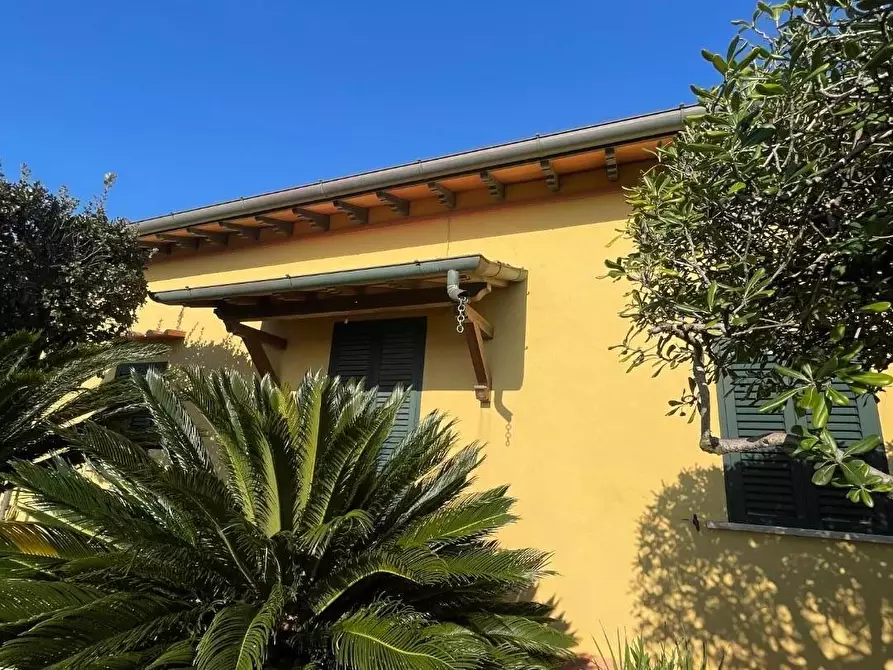Immagine 3 di Casa indipendente in vendita  a Pietrasanta