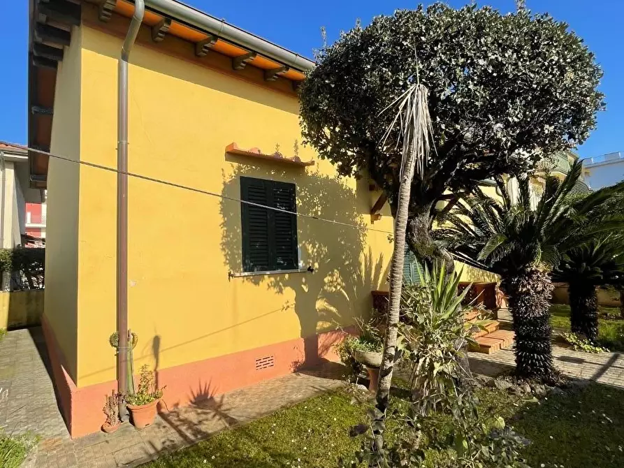 Immagine 4 di Casa indipendente in vendita  a Pietrasanta