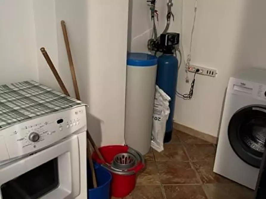 Immagine 22 di Appartamento in vendita  a Montescudaio