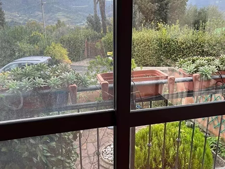 Immagine 12 di Appartamento in vendita  a Montescudaio