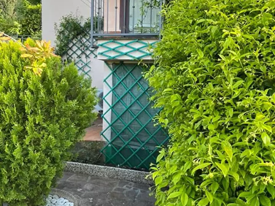 Immagine 6 di Appartamento in vendita  a Montescudaio