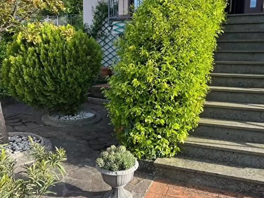 Immagine 10 di Appartamento in vendita  a Montescudaio