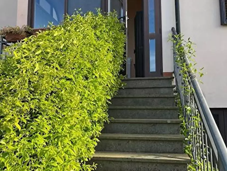 Immagine 5 di Appartamento in vendita  a Montescudaio