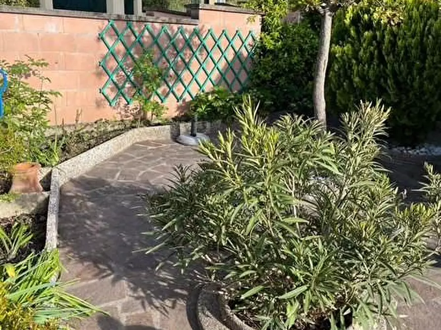 Immagine 8 di Appartamento in vendita  a Montescudaio