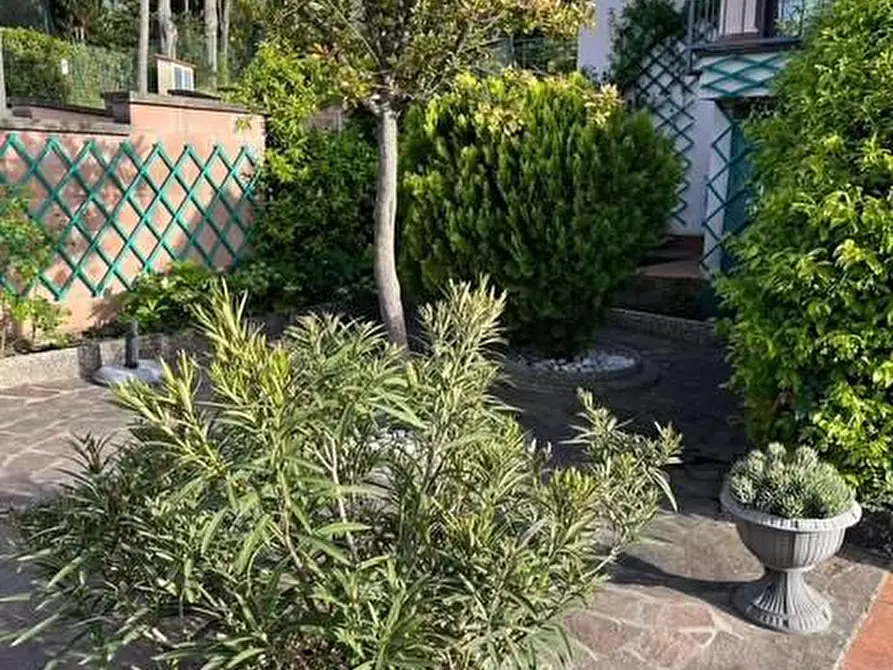 Immagine 9 di Appartamento in vendita  a Montescudaio