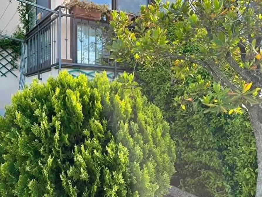 Immagine 3 di Appartamento in vendita  a Montescudaio