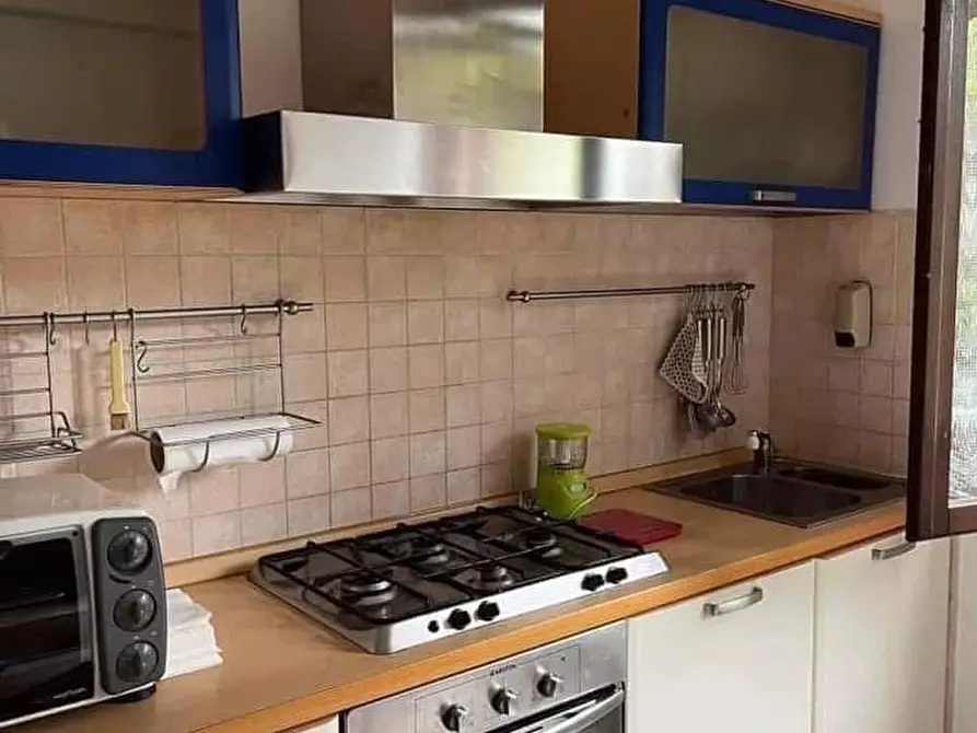 Immagine 13 di Appartamento in vendita  a Montescudaio