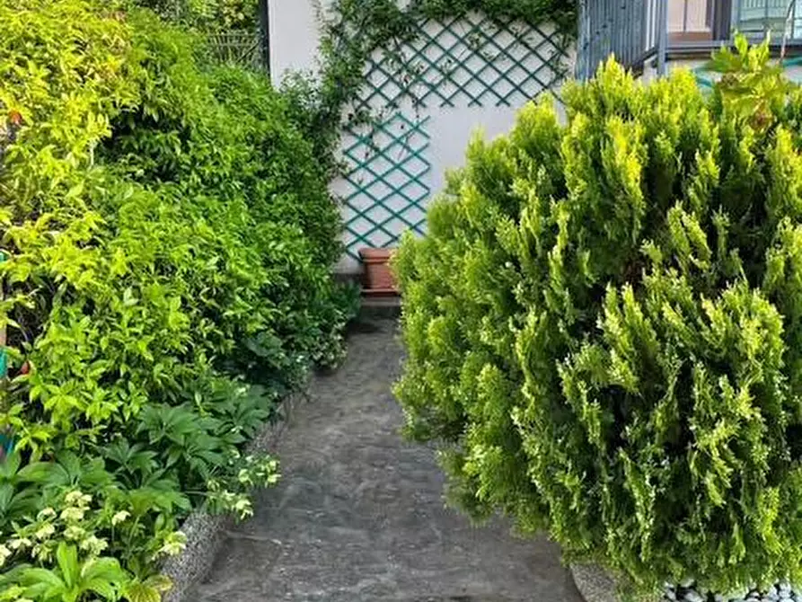 Immagine 4 di Appartamento in vendita  a Montescudaio